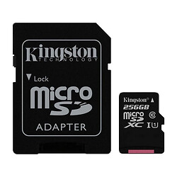 Карта памяти Kingston microSDHC Canvas Select Plus A1, 256 Гб.