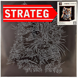 Набор для творчества Strateg Картины по номерам черный фон 40х40 см