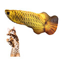 Игрушка мягкая "Рыба арована"
