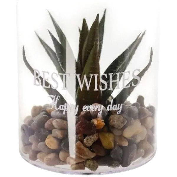 Декор для дома Eva dekor Растение искусственное в пластиковой емкости с камнями - № 3 Декор для дома Eva dekor Растение искусственное в пластиковой емкости с камнями - № 3