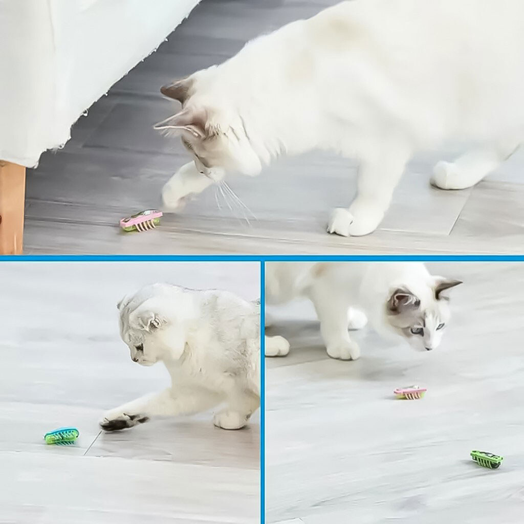 Игрушка "Жук", в ассортименте - № 7 Игрушка "Жук", в ассортименте - № 7