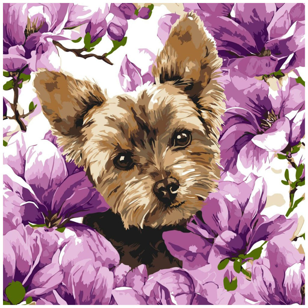 Картина по номерам "ЙОРК В МАГНОЛИИ", 40х40 СМ, Ідейка - № 1 Картина по номерам "ЙОРК В МАГНОЛИИ", 40х40 СМ, Ідейка - № 1