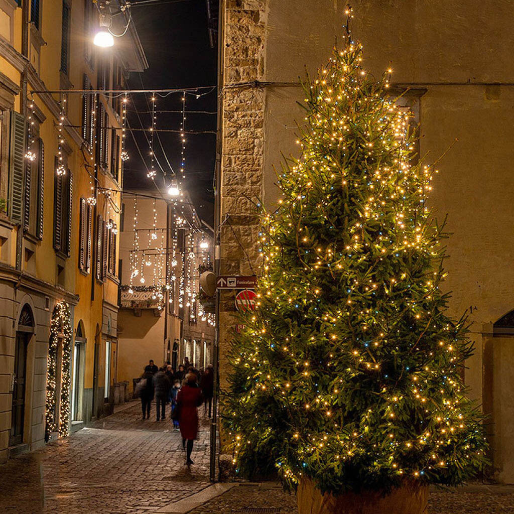 Светодиодная гирлянда Xmas Мишура, 30.0 м. - № 6 Светодиодная гирлянда Xmas Мишура, 30.0 м. - № 6