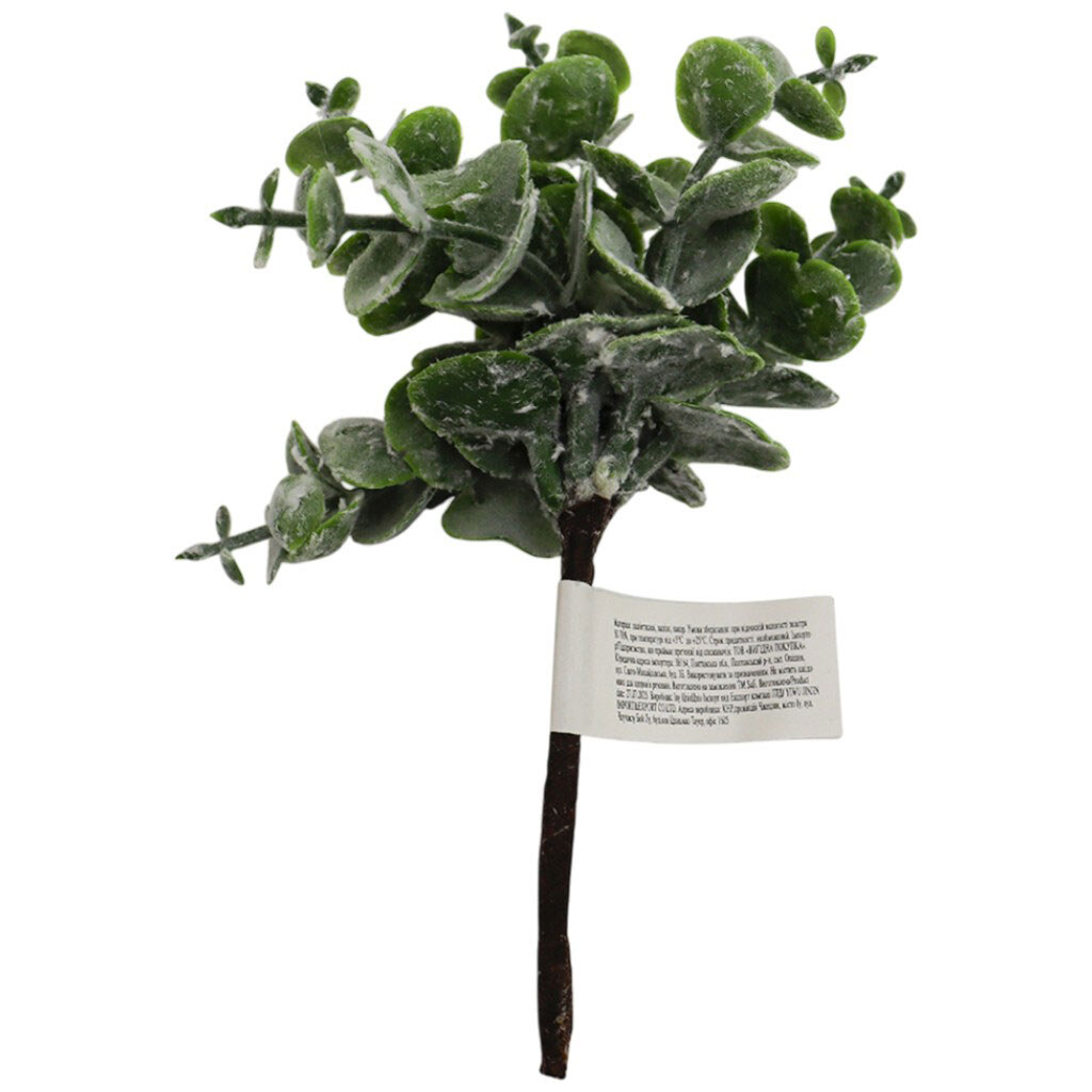 Набор веточек для рукоделия "Эвкалипт", 6 шт. - № 1 Набор веточек для рукоделия "Эвкалипт", 6 шт. - № 1