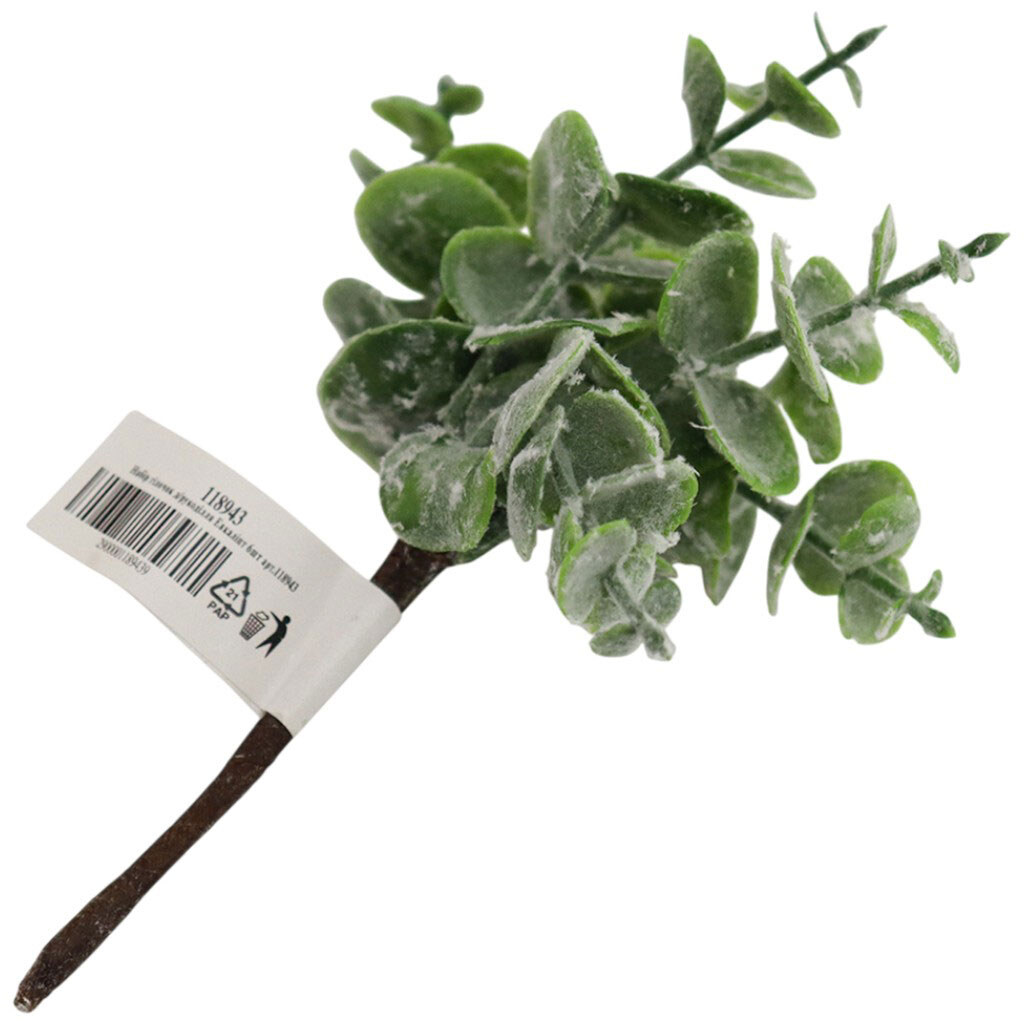 Набор веточек для рукоделия "Эвкалипт", 6 шт. - № 2 Набор веточек для рукоделия "Эвкалипт", 6 шт. - № 2