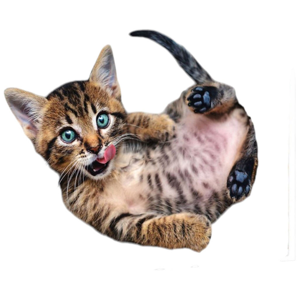 Пазлы "Веселый котенок", 1000 элементов, Trefl - № 1 Пазлы "Веселый котенок", 1000 элементов, Trefl - № 1