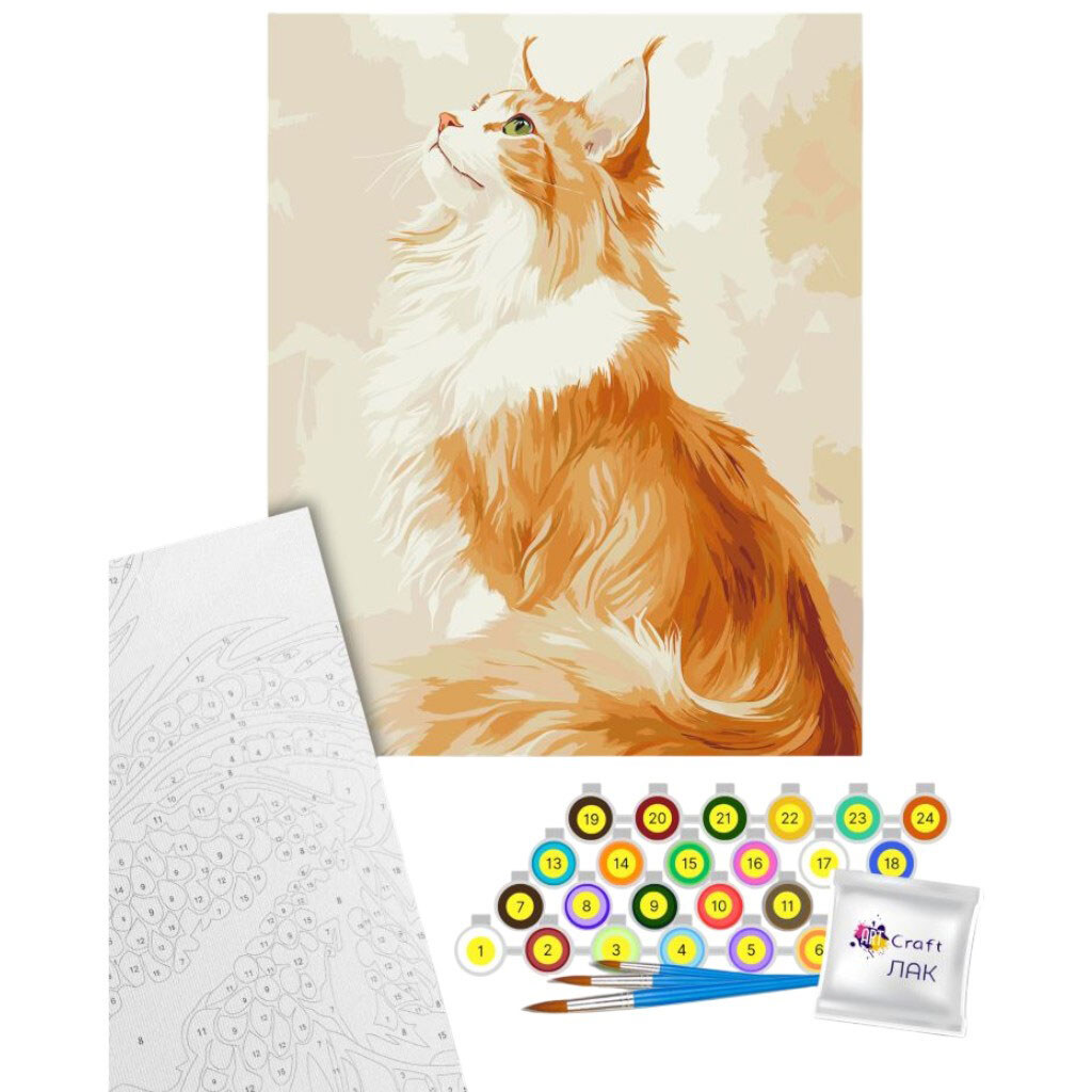 Картина по номерам "Рыжий Мэйн-кун", 40х50 см, Art Craft - № 2 Картина по номерам "Рыжий Мэйн-кун", 40х50 см, Art Craft - № 2