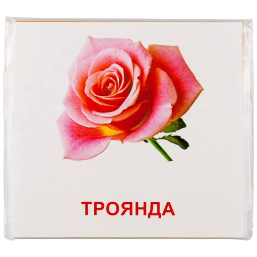 Картки міні "Квіти", 17 карток, 11х11, укр, Зірка - № 2 Картки міні "Квіти", 17 карток, 11х11, укр, Зірка - № 2