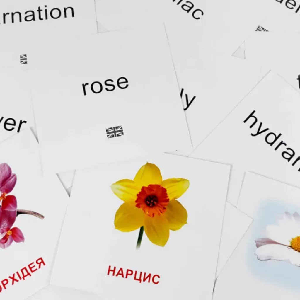 Картки міні "Квіти", 17 карток, 11х11, укр, Зірка - № 3 Картки міні "Квіти", 17 карток, 11х11, укр, Зірка - № 3