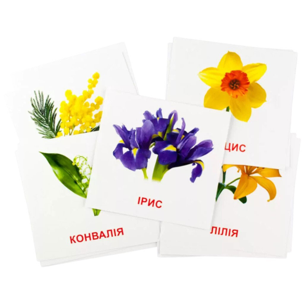 Картки міні "Квіти", 17 карток, 11х11, укр, Зірка - № 5 Картки міні "Квіти", 17 карток, 11х11, укр, Зірка - № 5