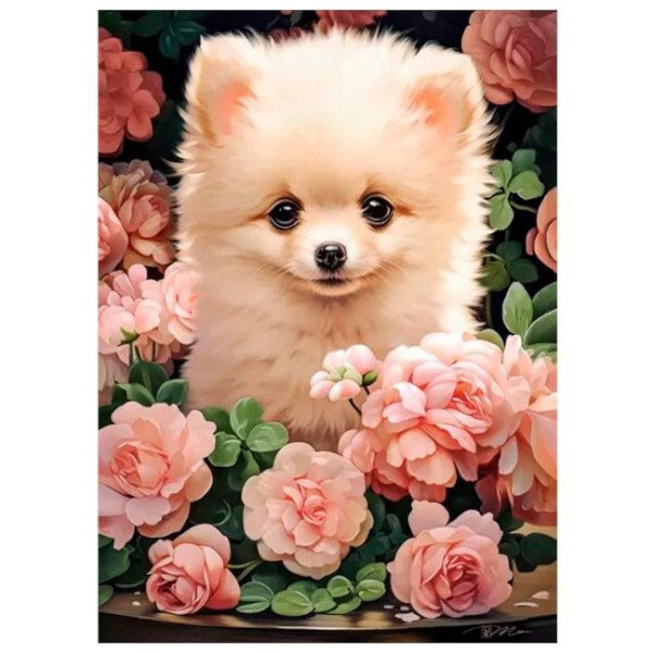 Пазлы "Щенок померанского шпица в розах", 300 элементов, Castorland - № 1 Пазлы "Щенок померанского шпица в розах", 300 элементов, Castorland - № 1