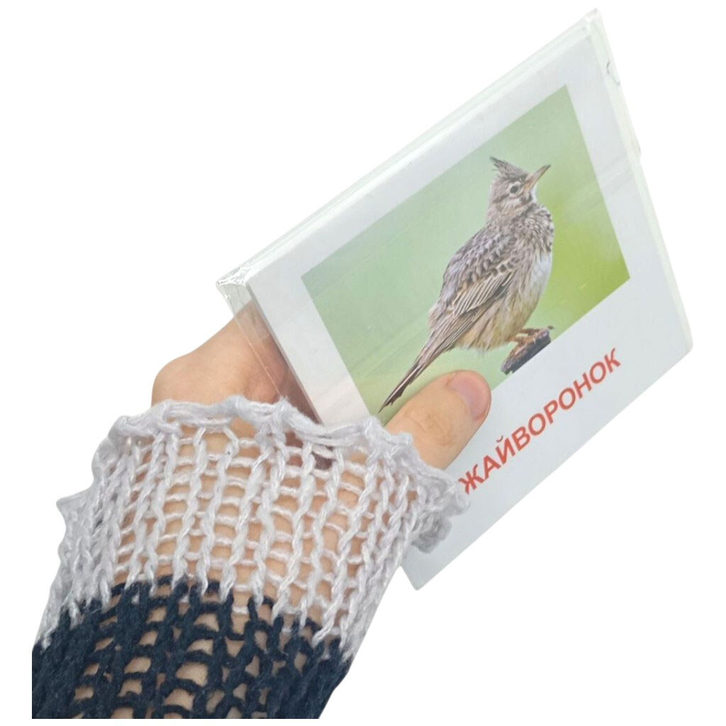 Карточки мини "Птицы ЖУРАВЕЛЬ", 110х110 мм, Zirka - № 3 Карточки мини "Птицы ЖУРАВЕЛЬ", 110х110 мм, Zirka - № 3