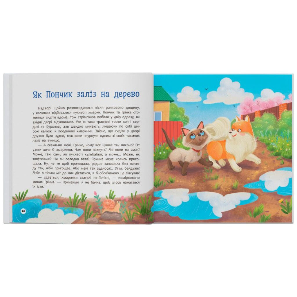 Книга "Хвостатые приключения. Пончик и Гренка учатся дружить", Crystal Book - № 6 Книга "Хвостатые приключения. Пончик и Гренка учатся дружить", Crystal Book - № 6