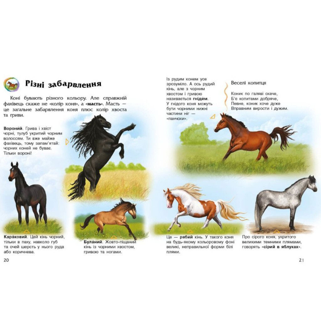 Книга "Энциклопедия дошкольника: Лошади", укр, Ранок - № 2 Книга "Энциклопедия дошкольника: Лошади", укр, Ранок - № 2