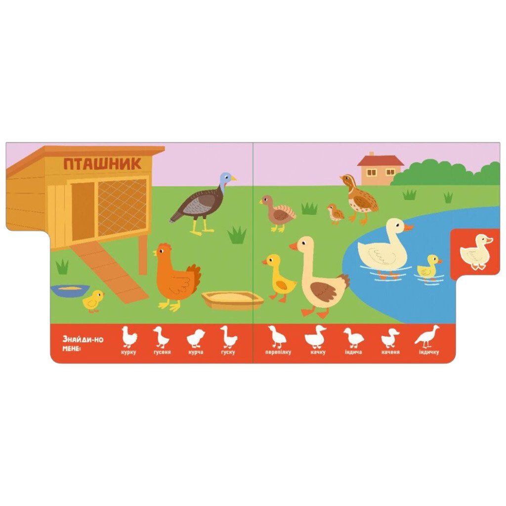 Книжка "Знайди-но мене!: Мами і дитинчата", укр, Ранок - № 2 Книжка "Знайди-но мене!: Мами і дитинчата", укр, Ранок - № 2