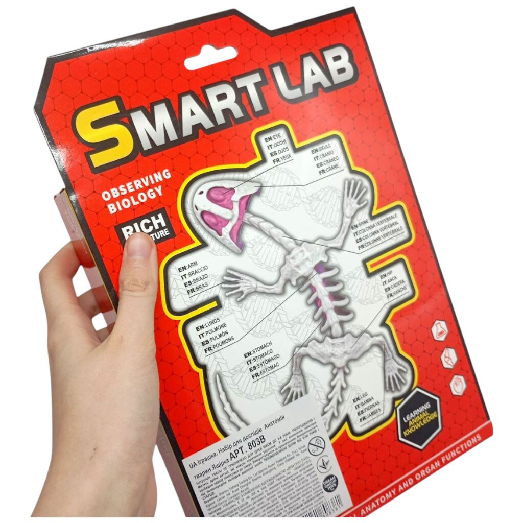 Набор для опытов Анатомия животных, Ящерица, Mic - № 2 Набор для опытов Анатомия животных, Ящерица, Mic - № 2