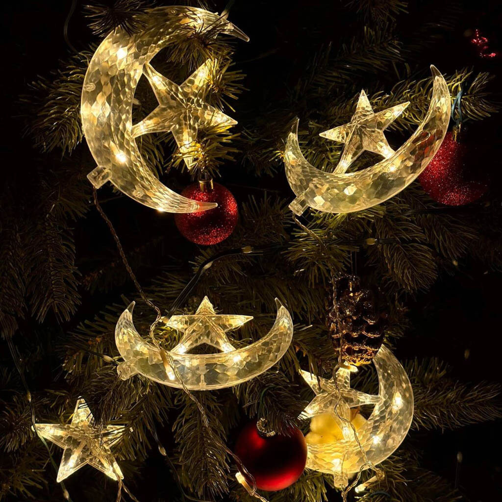 Светодиодная гирлянда штора Moon-Star - № 4 Светодиодная гирлянда штора Moon-Star - № 4