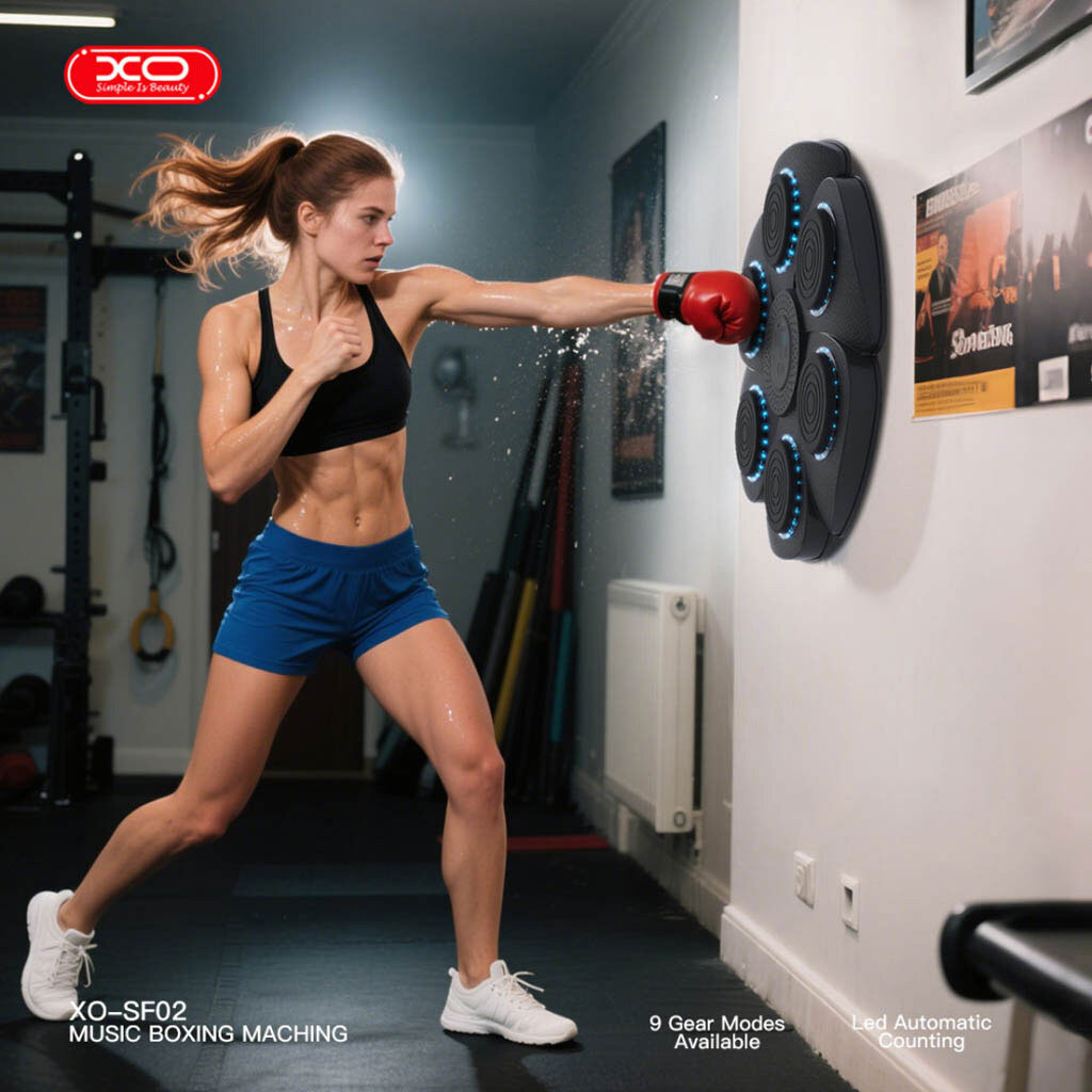 Настенная мишень для бокса XO SF-02, Черный - № 4 Настенная мишень для бокса XO SF-02, Черный - № 4