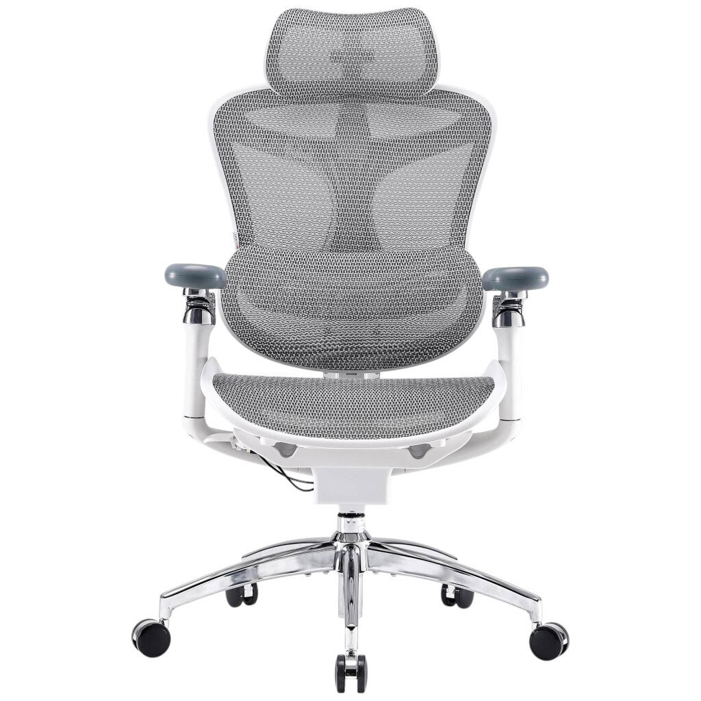 Офісне крісло Sihoo Doro C300 Pro Mesh, Білий - № 1 Офісне крісло Sihoo Doro C300 Pro Mesh, Білий - № 1