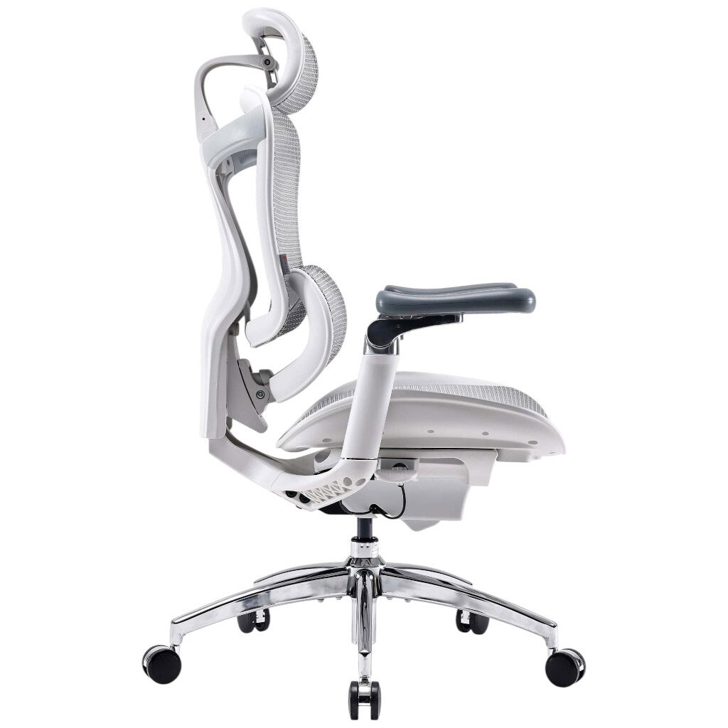 Офісне крісло Sihoo Doro C300 Pro Mesh, Білий - № 2 Офісне крісло Sihoo Doro C300 Pro Mesh, Білий - № 2