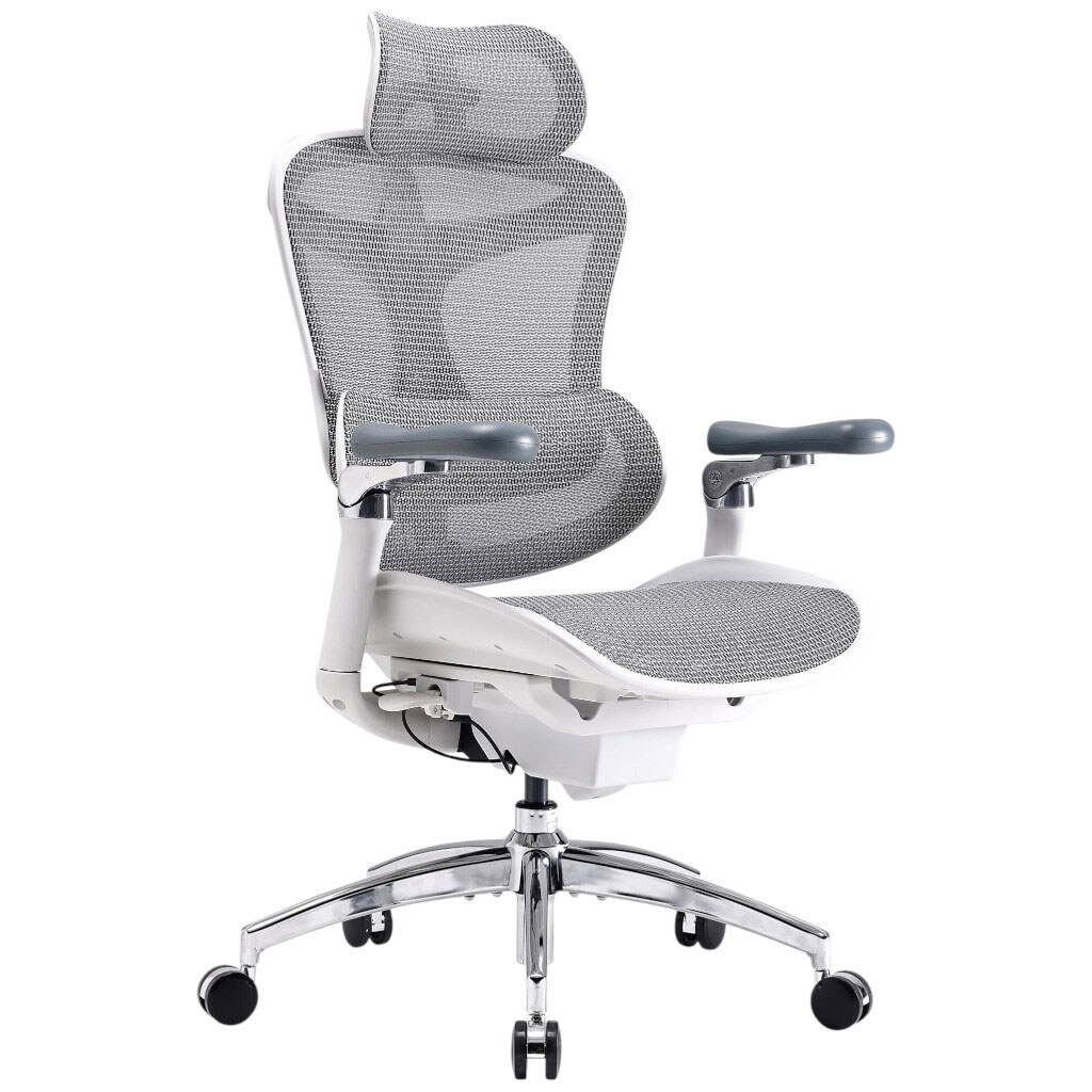 Офісне крісло Sihoo Doro C300 Pro Mesh, Білий - № 4 Офісне крісло Sihoo Doro C300 Pro Mesh, Білий - № 4