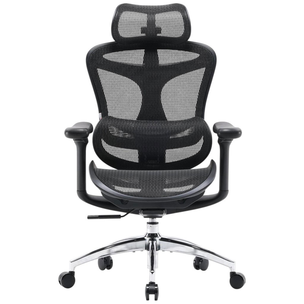 Офисное кресло Sihoo Doro C300L Mesh, Черный - № 1 Офисное кресло Sihoo Doro C300L Mesh, Черный - № 1