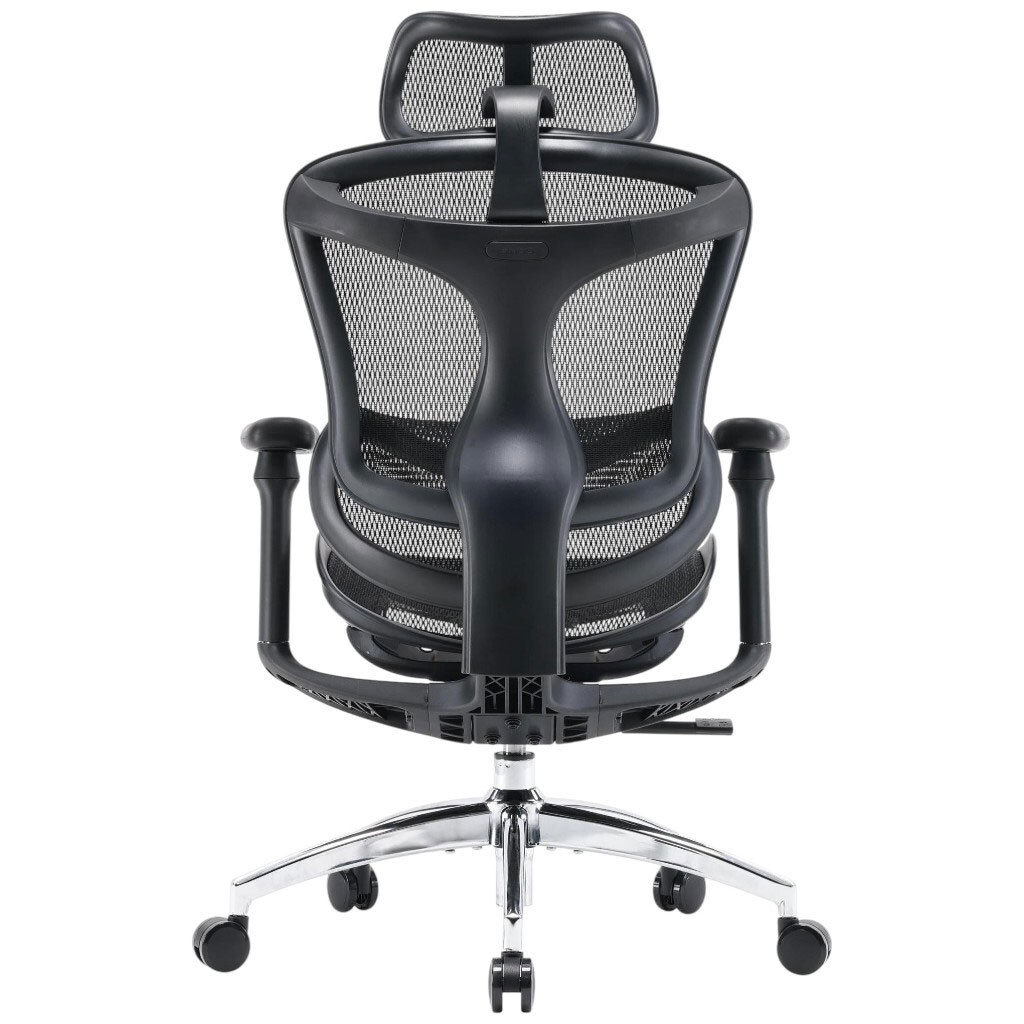 Офисное кресло Sihoo Doro C300L Mesh, Черный - № 2 Офисное кресло Sihoo Doro C300L Mesh, Черный - № 2