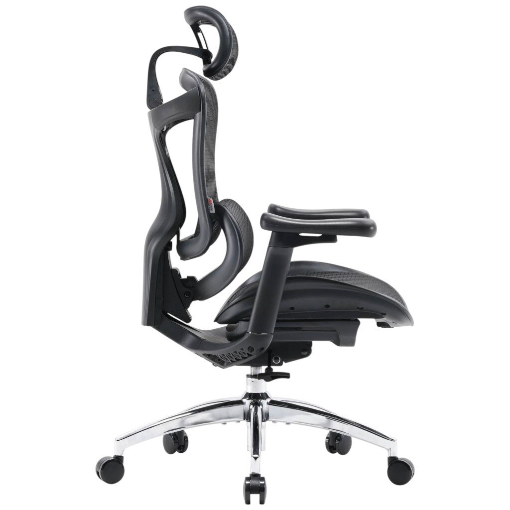 Офисное кресло Sihoo Doro C300L Mesh, Черный - № 3 Офисное кресло Sihoo Doro C300L Mesh, Черный - № 3