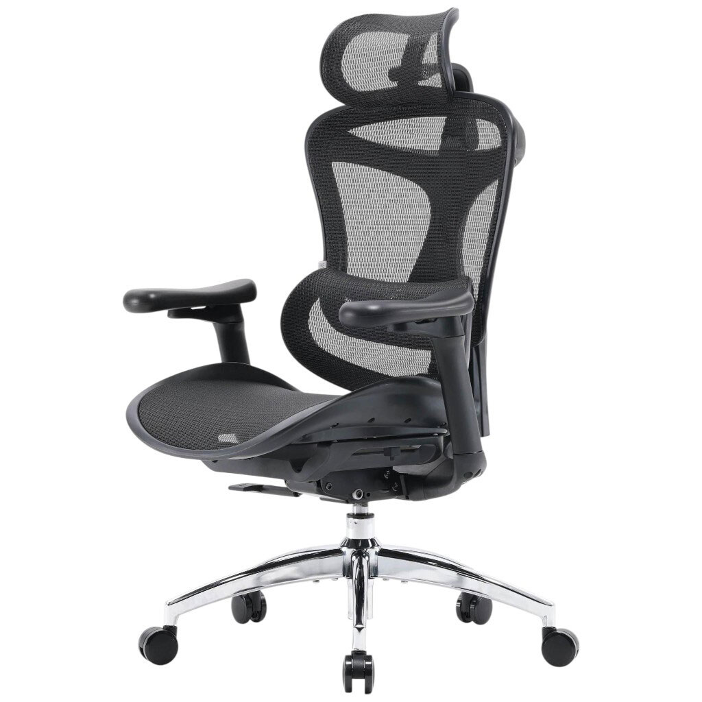 Офисное кресло Sihoo Doro C300L Mesh, Черный - № 4 Офисное кресло Sihoo Doro C300L Mesh, Черный - № 4