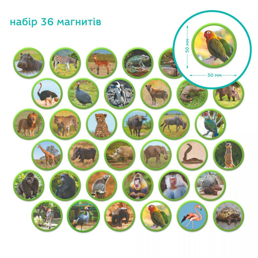 Магнитный набор Монтессори «Животные на континентах: Африка», Dodo - № 3 Магнитный набор Монтессори «Животные на континентах: Африка», Dodo - № 3