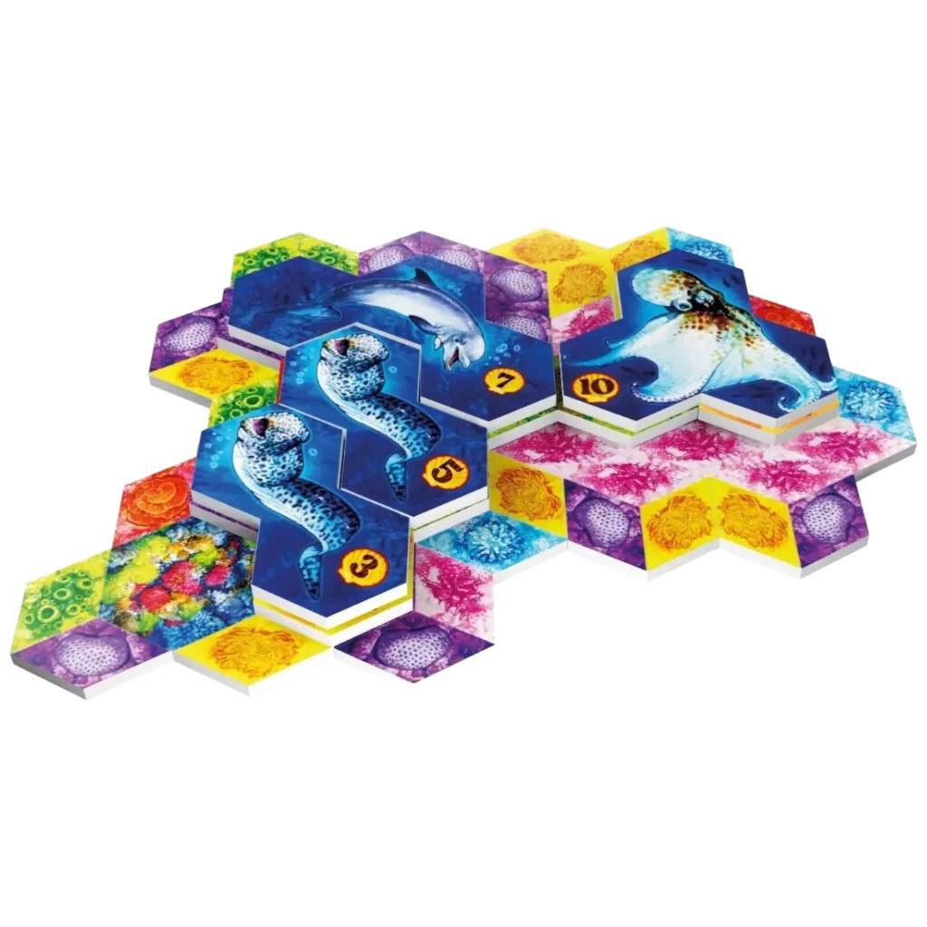 Настольная игра "Aqua Океанское биоразнообразие", Lord of Boards - № 5 Настольная игра "Aqua Океанское биоразнообразие", Lord of Boards - № 5