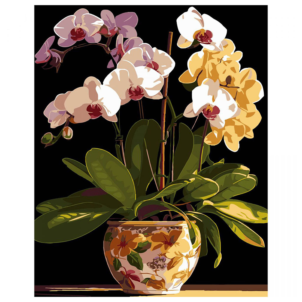 Картина по номерам на черном фоне "Вазон орхидей", 40х50 см, Strateg - № 1 Картина по номерам на черном фоне "Вазон орхидей", 40х50 см, Strateg - № 1