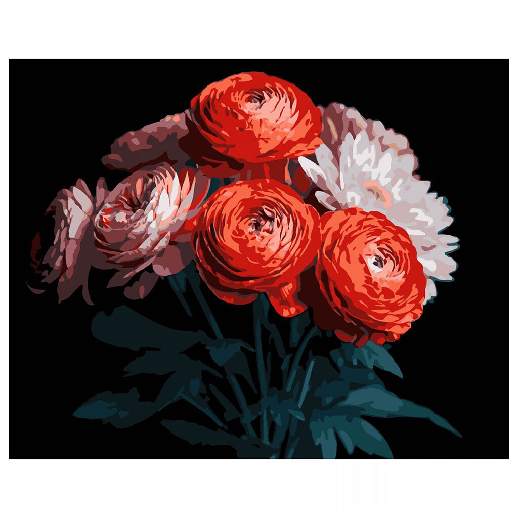 Картина по номерам на черном фоне "Красные ранункулюсы", 40х50 см, Strateg - № 1 Картина по номерам на черном фоне "Красные ранункулюсы", 40х50 см, Strateg - № 1