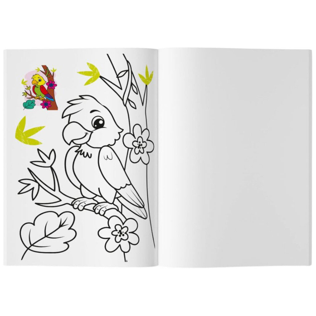 Книга-раскраска "Кольорованка. Зоопарк", Crystal Book - № 5 Книга-раскраска "Кольорованка. Зоопарк", Crystal Book - № 5