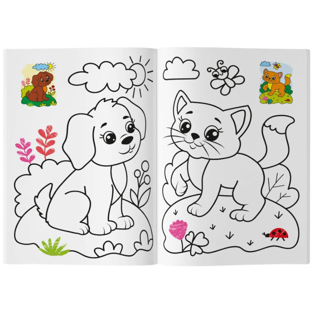 Книга-раскраска "Кольорованка. Животные", Crystal Book - № 2 Книга-раскраска "Кольорованка. Животные", Crystal Book - № 2