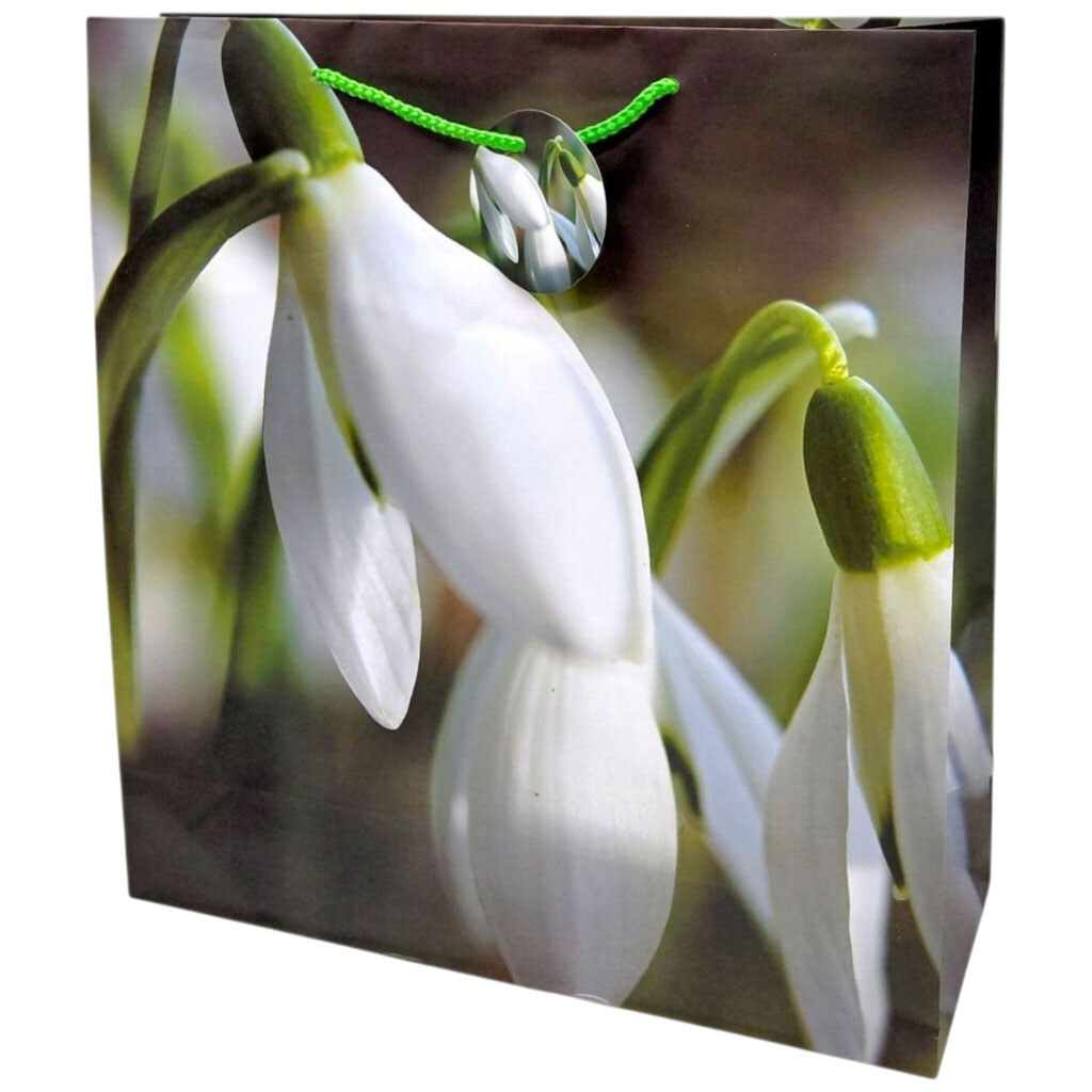 Пакет бумажный, 35х37х12 см, Art Studio Of Happiness - № 1 Пакет бумажный, 35х37х12 см, Art Studio Of Happiness - № 1