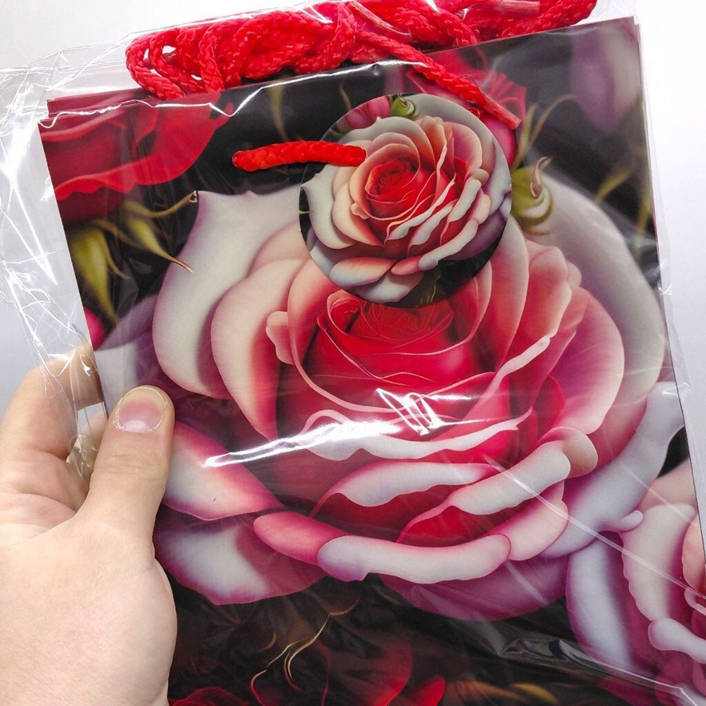 Пакет бумажный, 18х23х10 см, 5 шт. в упаковке, Art Studio Of Happiness - № 2 Пакет бумажный, 18х23х10 см, 5 шт. в упаковке, Art Studio Of Happiness - № 2