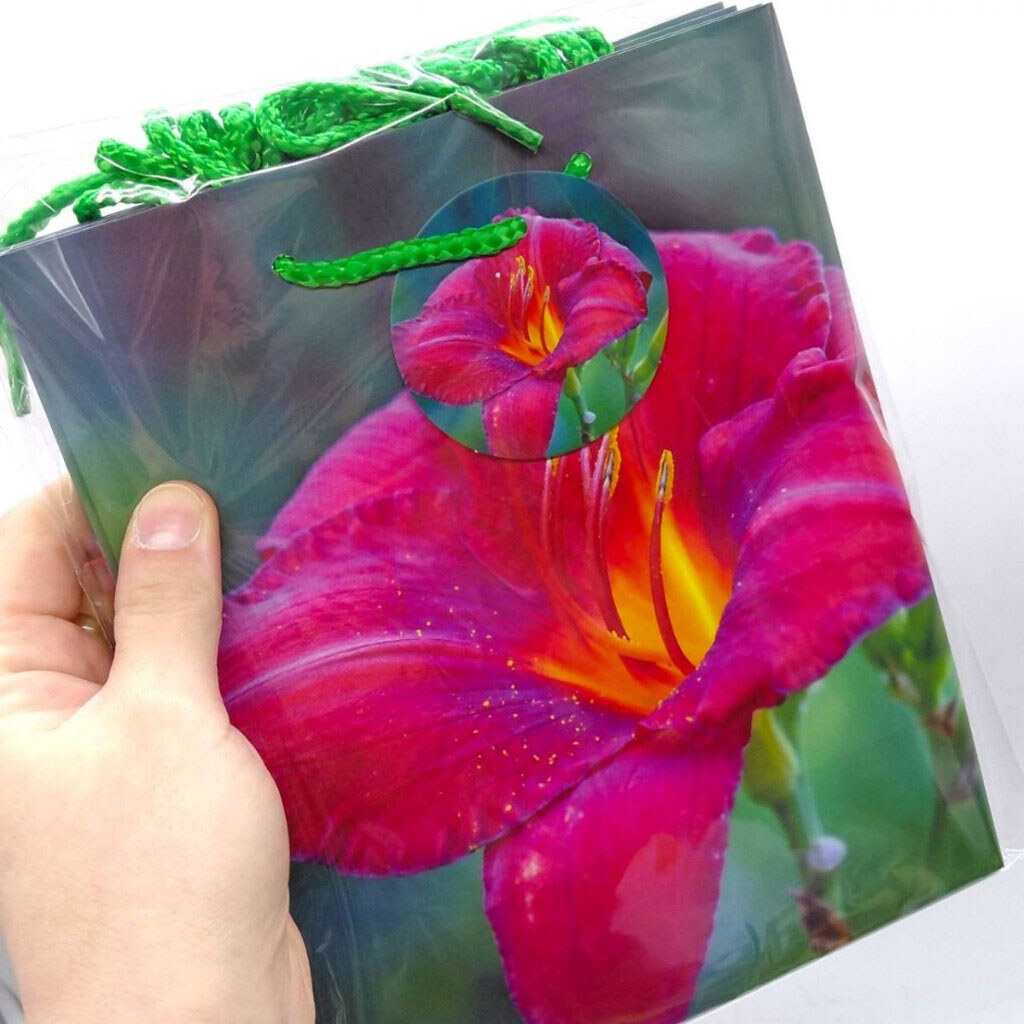 Пакет бумажный, 18х23х10 см, 5 шт. в упаковке, Art Studio Of Happiness - № 2 Пакет бумажный, 18х23х10 см, 5 шт. в упаковке, Art Studio Of Happiness - № 2