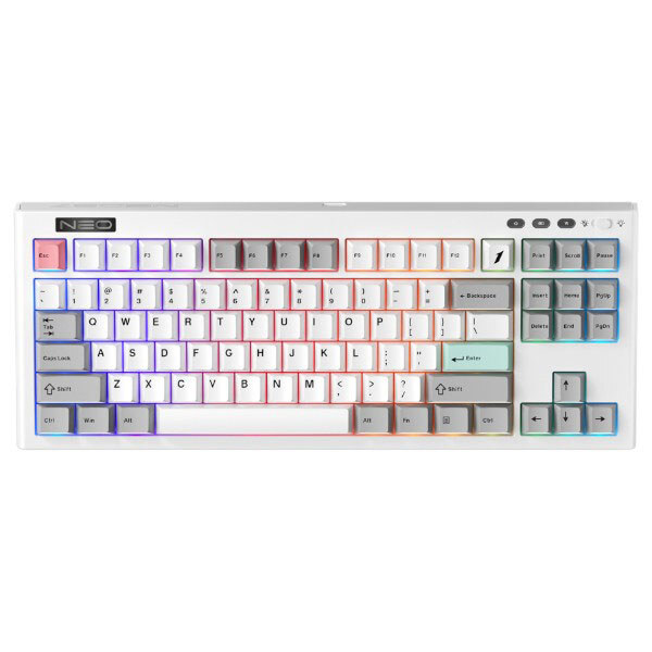 Клавиатура 1stPlayer NEO87 Frostwave, Белый - № 1 Клавиатура 1stPlayer NEO87 Frostwave, Белый - № 1