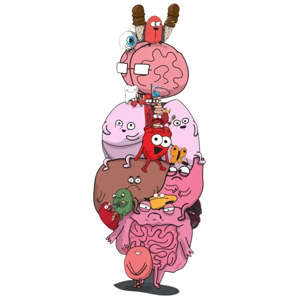 Настільна гра "Органи атакують!", Lord of Boards - № 4 Настільна гра "Органи атакують!", Lord of Boards - № 4