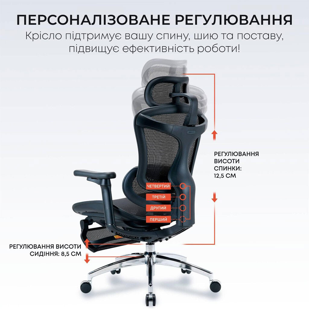 Офисное кресло Sihoo Doro C300L Mesh, Черный - № 16 Офисное кресло Sihoo Doro C300L Mesh, Черный - № 16