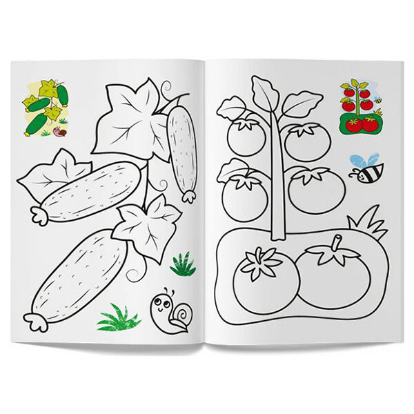 Книга "Кольорованка. Овощи", Crystal Book - № 2 Книга "Кольорованка. Овощи", Crystal Book - № 2