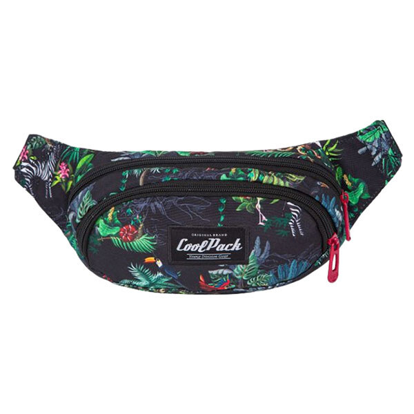 Сумка поясна "Albany MALINDI", 23х14х7 см, CoolPack - № 1 Сумка поясна "Albany MALINDI", 23х14х7 см, CoolPack - № 1