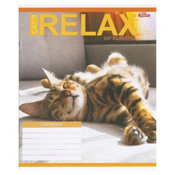 Зошит КОЛЬОРОВИЙ на 18 аркушів, КЛІТИНКА, «RELAX CATʼS», 20 ШТ., Мрії Збуваються - № 2 Зошит КОЛЬОРОВИЙ на 18 аркушів, КЛІТИНКА, «RELAX CATʼS», 20 ШТ., Мрії Збуваються - № 2