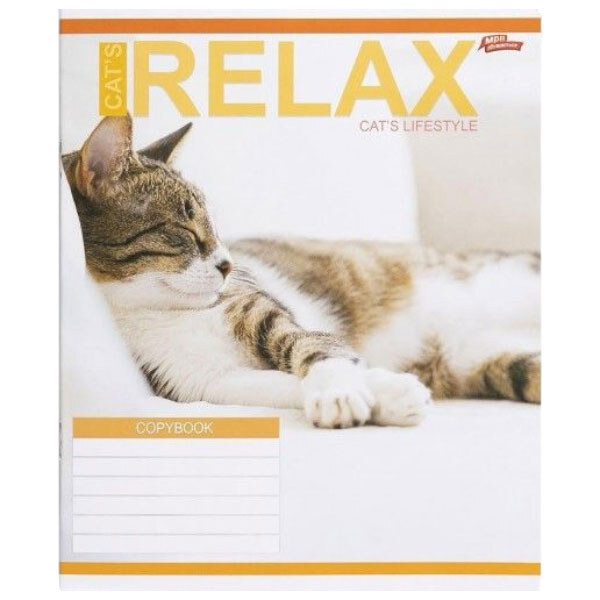 Зошит КОЛЬОРОВИЙ на 18 аркушів, КЛІТИНКА, «RELAX CATʼS», 20 ШТ., Мрії Збуваються - № 3 Зошит КОЛЬОРОВИЙ на 18 аркушів, КЛІТИНКА, «RELAX CATʼS», 20 ШТ., Мрії Збуваються - № 3