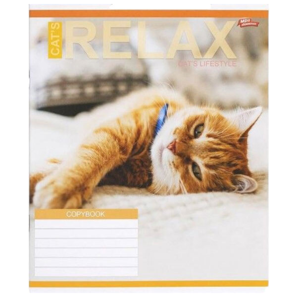Зошит КОЛЬОРОВИЙ на 18 аркушів, КЛІТИНКА, «RELAX CATʼS», 20 ШТ., Мрії Збуваються - № 4 Зошит КОЛЬОРОВИЙ на 18 аркушів, КЛІТИНКА, «RELAX CATʼS», 20 ШТ., Мрії Збуваються - № 4