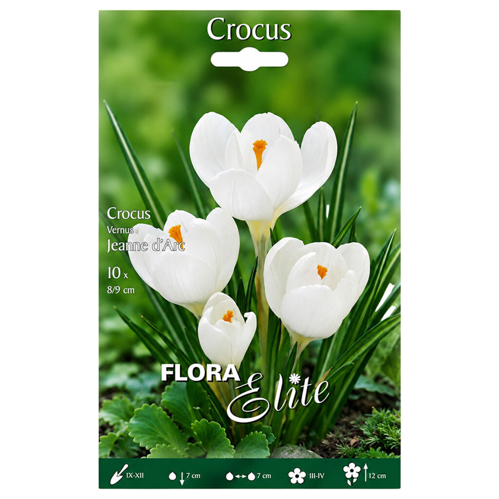 Луковицы цветов Flora Elite Крокус Jeanne d'Arc, 10 шт. - № 1 Луковицы цветов Flora Elite Крокус Jeanne d'Arc, 10 шт. - № 1