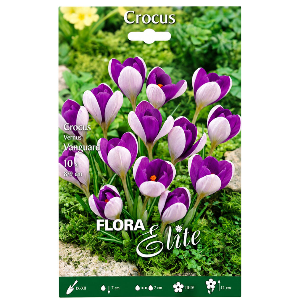 Цибулини квітів Flora Elite Крокус Vanguard, 10 шт. - № 1 Цибулини квітів Flora Elite Крокус Vanguard, 10 шт. - № 1