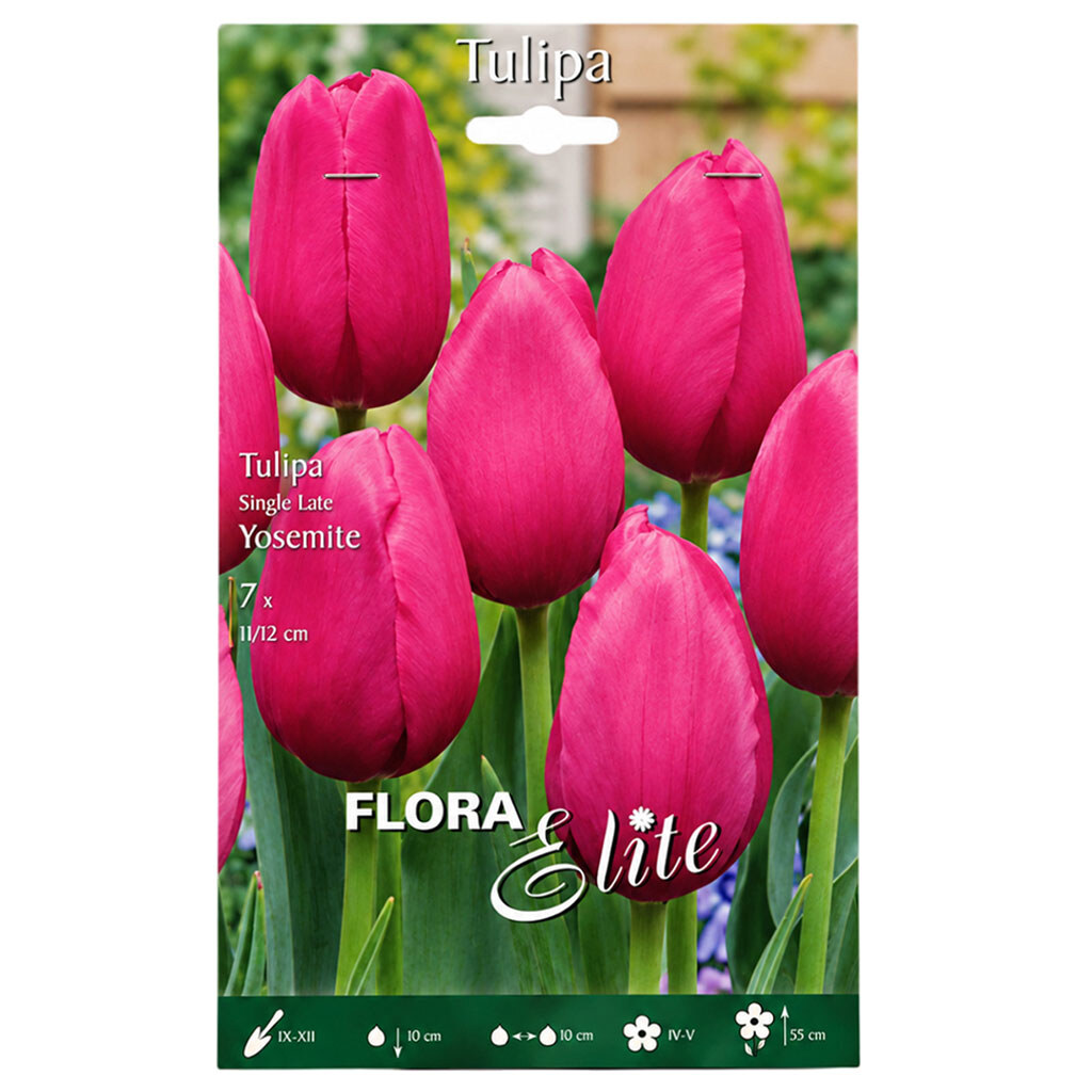 Луковицы цветов Flora Elite Тюльпан Yosemite, 7 шт. - № 1 Луковицы цветов Flora Elite Тюльпан Yosemite, 7 шт. - № 1