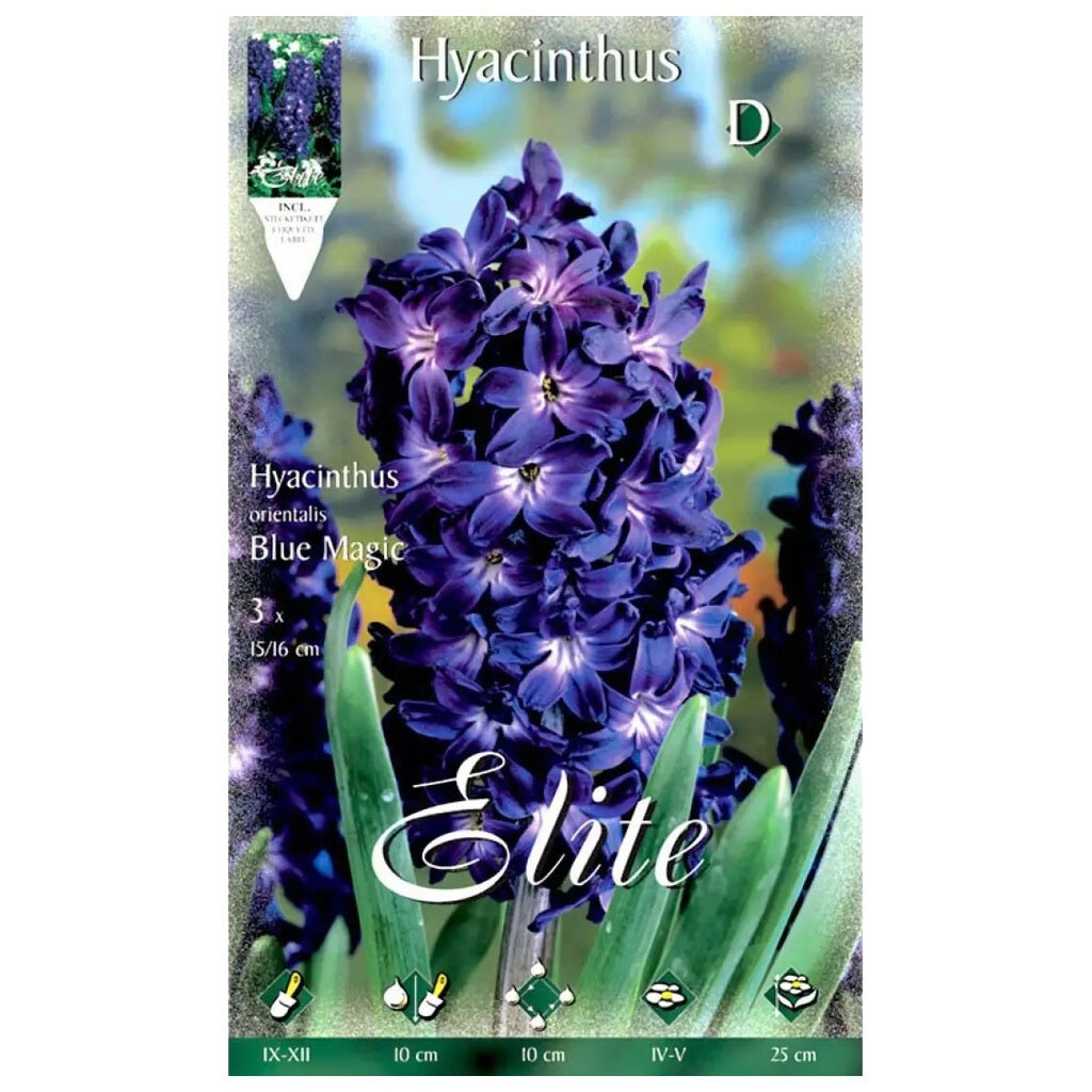 Луковицы цветов Flora Elite Гиацинт Blue Trophy, 3 шт. - № 1 Луковицы цветов Flora Elite Гиацинт Blue Trophy, 3 шт. - № 1
